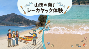 【2026年5月1日～】シーカヤック体験　～10/31まで