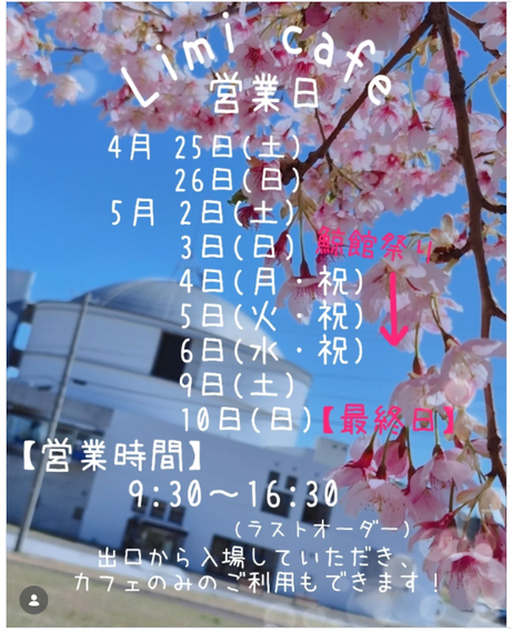 ▶期間限定リミカフェ　（鯨と海の科学館内）（飲食）～2026/5/10（日）
