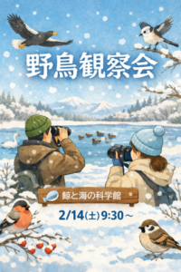 ▶野鳥観察会　鯨と海の科学館　（その他）　2026/2/14（土）