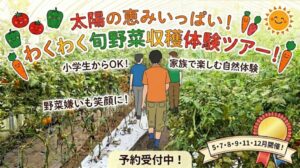 【5・7・9・11・12月】いわき農園『旬の野菜』収穫体験