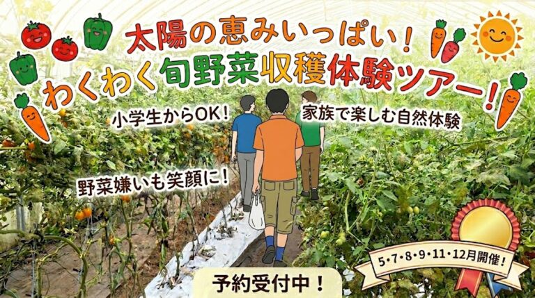 【5・7・9・11・12月】いわき農園『旬の野菜』収穫体験
