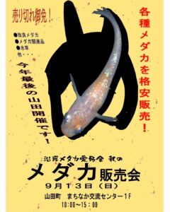 【９月１３日（日）】メダカ販売会